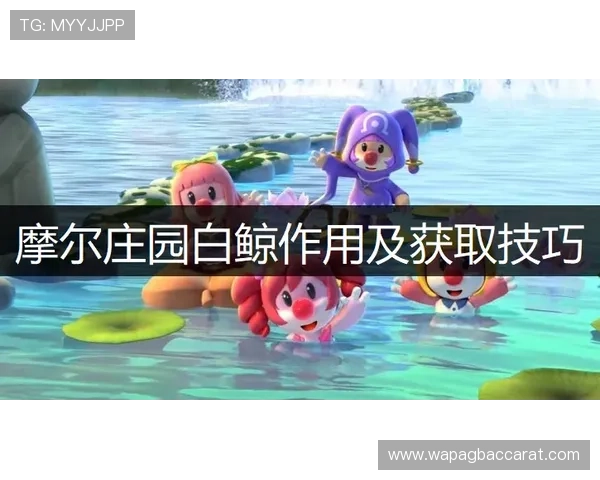 全面解析ag国际厅网站的最新功能与玩法，助你轻松掌握游戏技巧