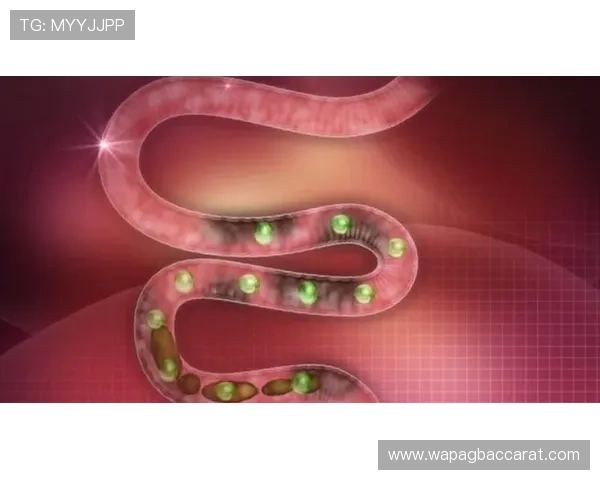 加入ag视讯竟眯厅，体验专业的客服服务与便捷的支付方式，轻松畅享每一次游戏时光