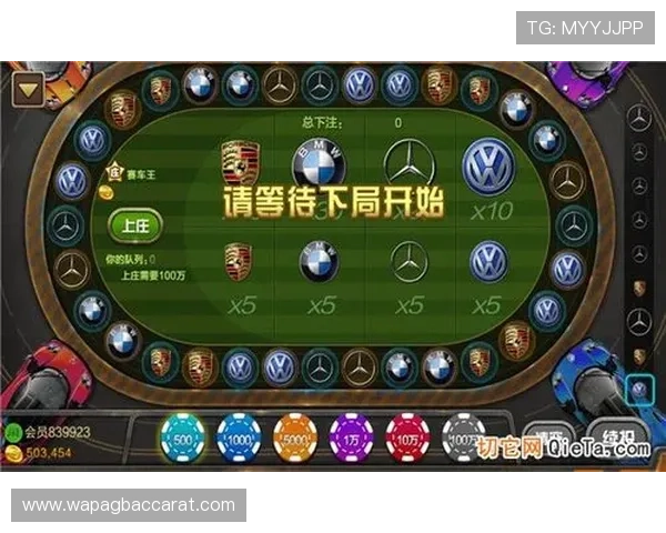 优质现金真人网登录线路推荐，助你轻松进入高收益真人娱乐平台体验多样游戏玩法