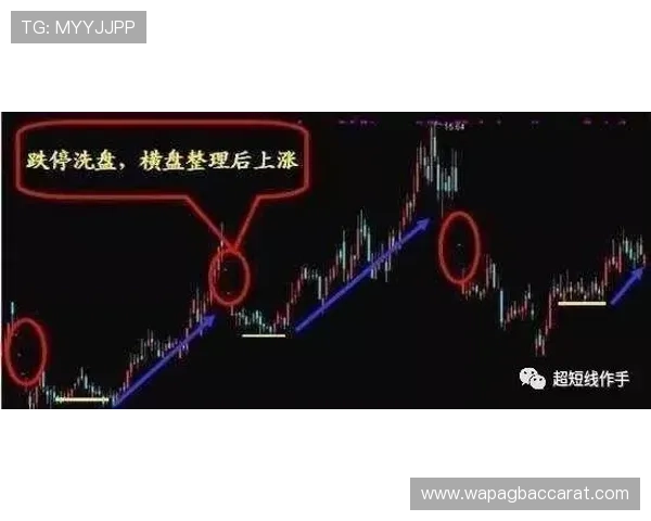 全面解读百家乐路单下载的重要性及使用技巧，助力玩家赢得更多