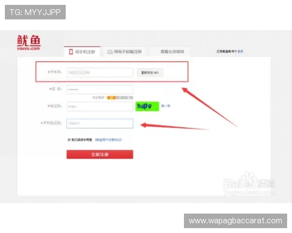 博鱼真人平台会员无法登录的常见原因及快速修复技巧