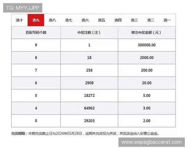 百家乐注码策略分析如何科学合理分配投注金额实现资金最大化 百家乐注码策略分析如何科学合理分配投注金额实现资金最大化