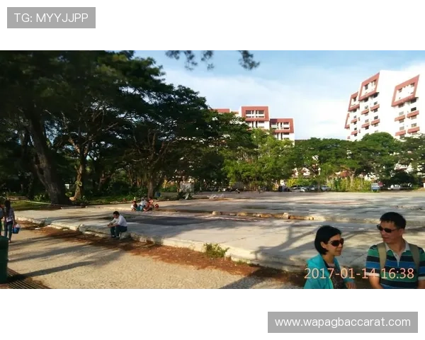 详细介绍沙巴真人游戏完整版下载的步骤与注意事项确保顺利体验