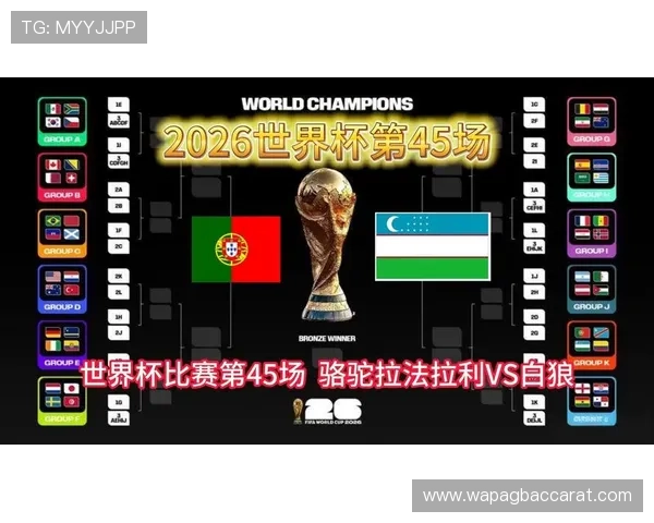 2026世界杯葡萄牙VS乌兹别克斯坦比赛竞彩玩法介绍及专家推荐分析