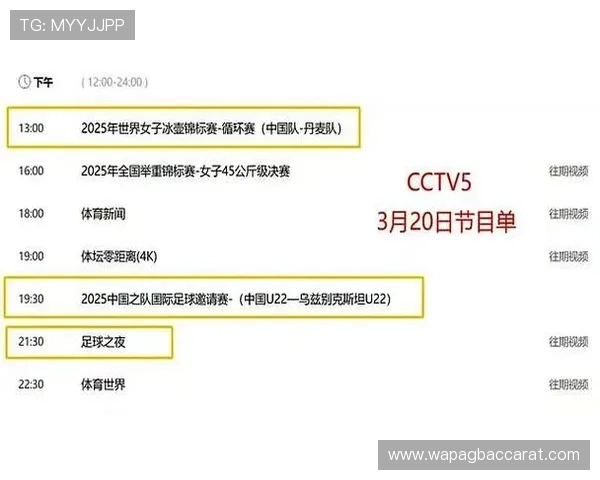 世界杯期间葡萄牙乌兹别克斯坦球员签证所需材料及办理流程全攻略